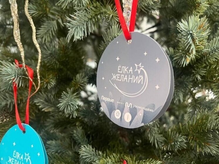 Тысячи детских мечт снова на «Ёлке желаний»: Хабаровский край запускает новогоднее чудо