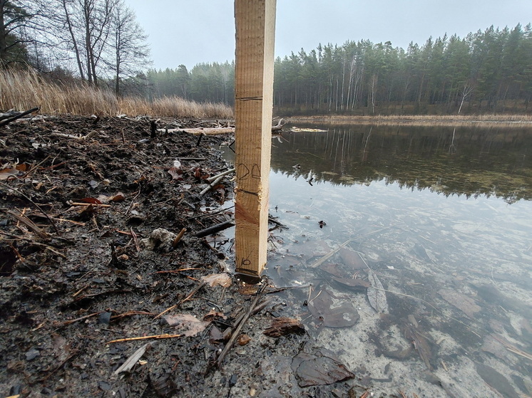 Специалисты зафиксировали подъем воды в озере Яльчик
