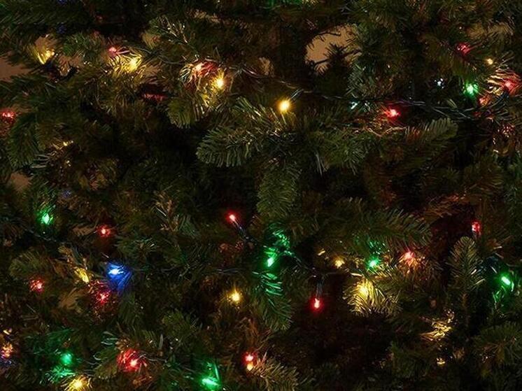 Южно-Сахалинск украсят десять новогодних ёлок к праздникам