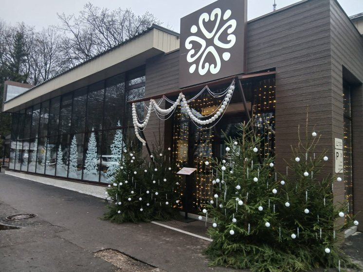 Пензенский бизнес начал украшать свои объекты к Новому году