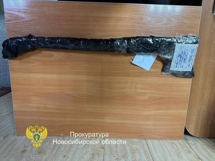Мужчину из Новосибирской области обвиняют в угрозе убийством с топором в руках
