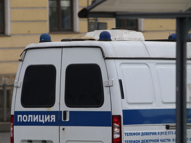 Три девочки попали в полицию после драки на вокзале в Павловске