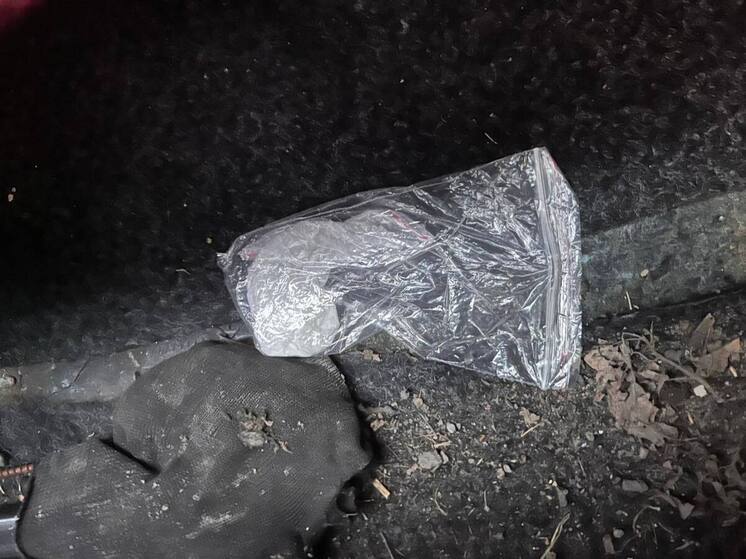 Автоинспекторы Челябинска перехватили крупную партию наркотиков