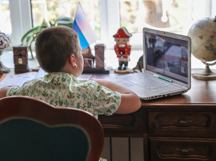 Эксперт Кравченко выразил скепсис касательно идеи введения штрафов за буллинг в сети