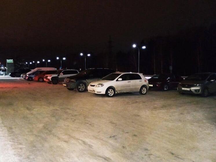 В Омске планируют создать более тысячи платных парковочных мест