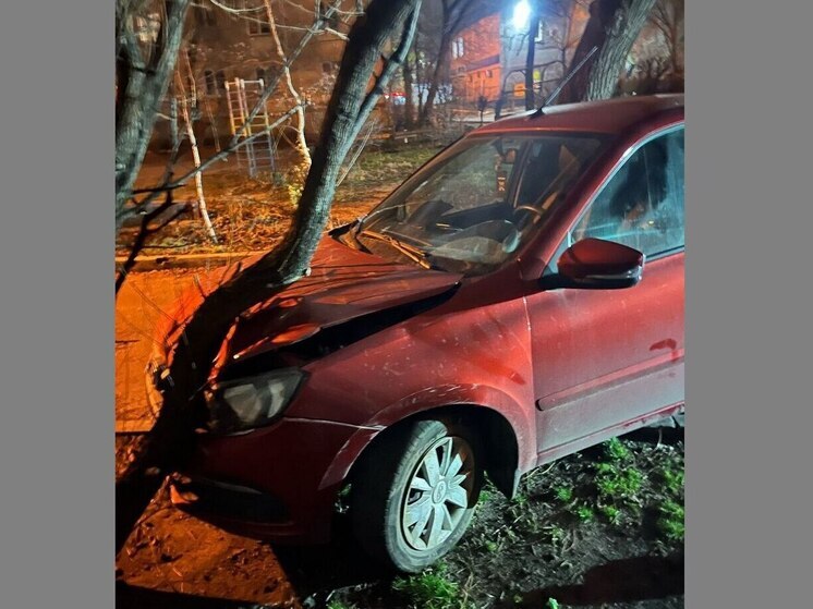 В Воронеже «Лада» на скорости врезалась в дерево