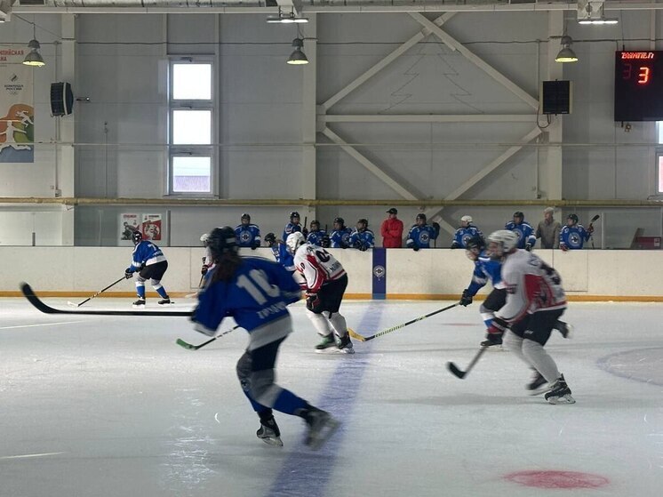 «Сокол» победил на женском хоккейном турнире в Брянской области