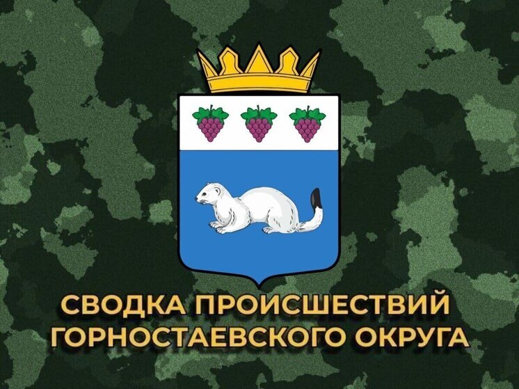 За сутки ВСУ нанесли 10 ударов по Горностаевскому округу