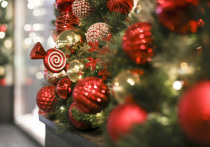 Наступающий 2026 год — это не просто смена цифр. Это мощный энергетический рывок, воплощенный в символе Красной Огненной Лошади. Чтобы не просто вписаться в его вибрации, а зарядиться ими на все 12 месяцев, важно правильно выбрать «экипировку». Ваш наряд — это не просто ткань, а ваш личный оберег и заявка на будущее. Вот подробный гид, как одеться на Новый год, чтобы угодить стихии и привлечь максимум удачи.