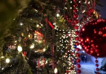 Считаем калории в оливье, селедке под шубой и домашнем торте перед Новым 2026 годом
Вот он, момент истины - весь год мы мечтаем о новогоднем чуде, а организм готовится к суровому испытанию