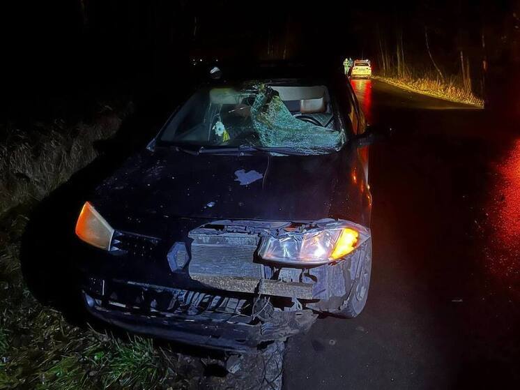 Под Брянском иномарка сбила 49-летнего мужчину