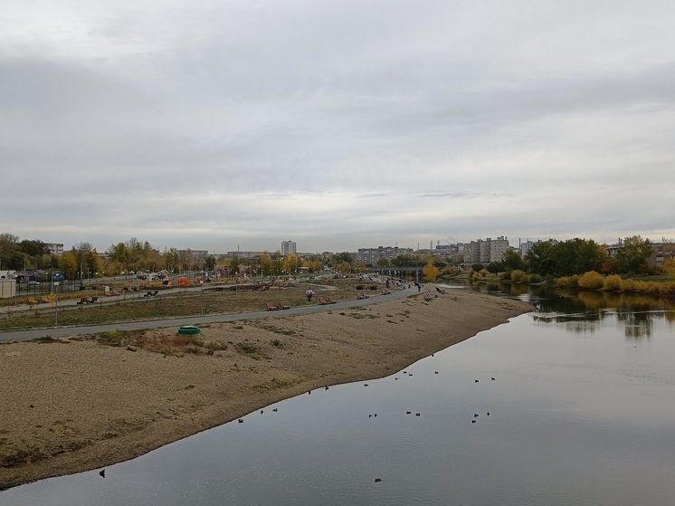 9,8 миллиона рублей субсидий необоснованно получила спортшкола в Нижнем Тагиле