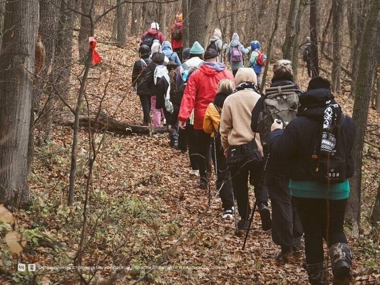 Более 300 белгородцев побывали в пешем семейном походе «Вдоль Белгородской черты»