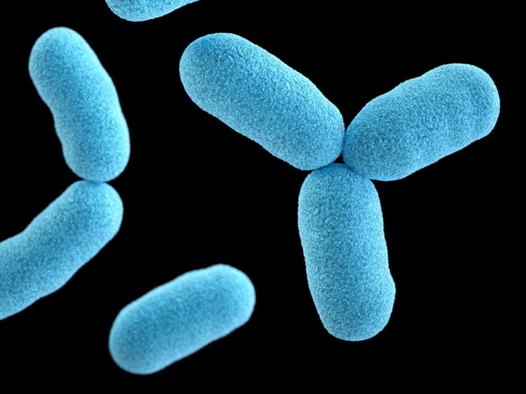 Врач перечислила смертоносные вирусы опаснее COVID-19