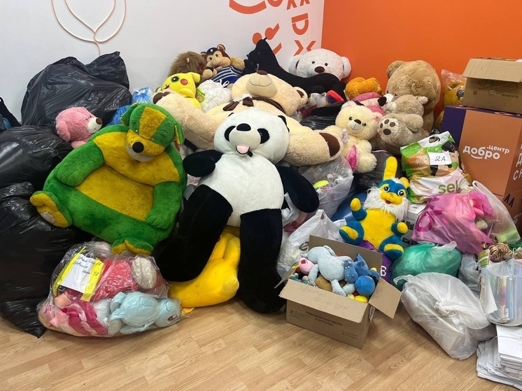 Ракитянцы собрали более 290 кг игрушек для создания подушек участникам СВО