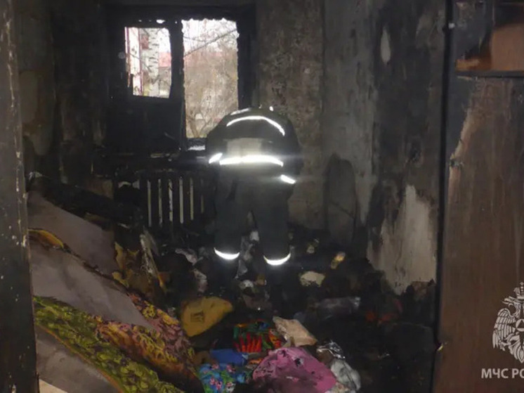 Пожарные в Саранске спасли из огня 85-летнюю женщину