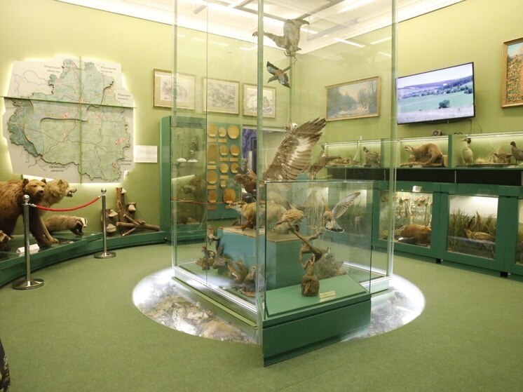 Краеведческий музей Тулы возобновил работу после завершения ремонта