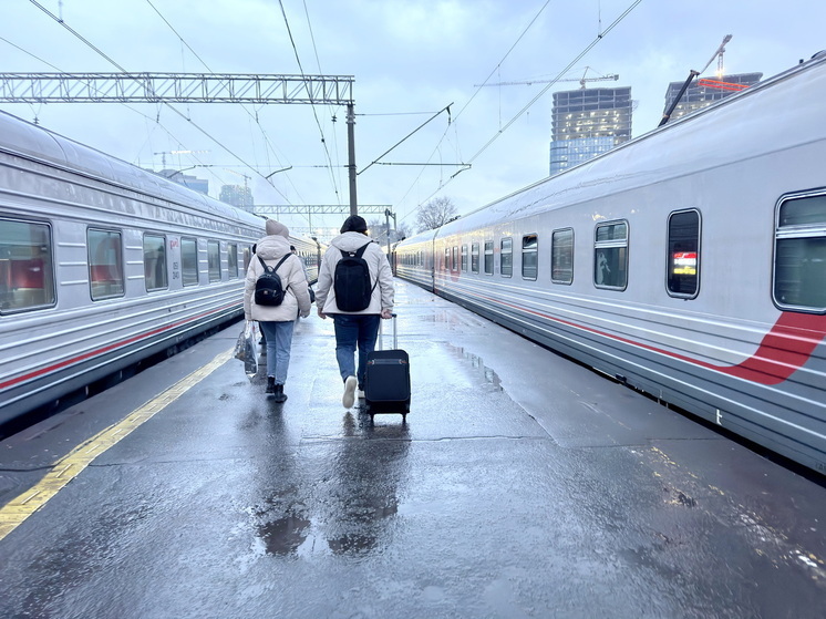 "КП": 15 человек спасали кота, который исчез в поезде на шесть дней