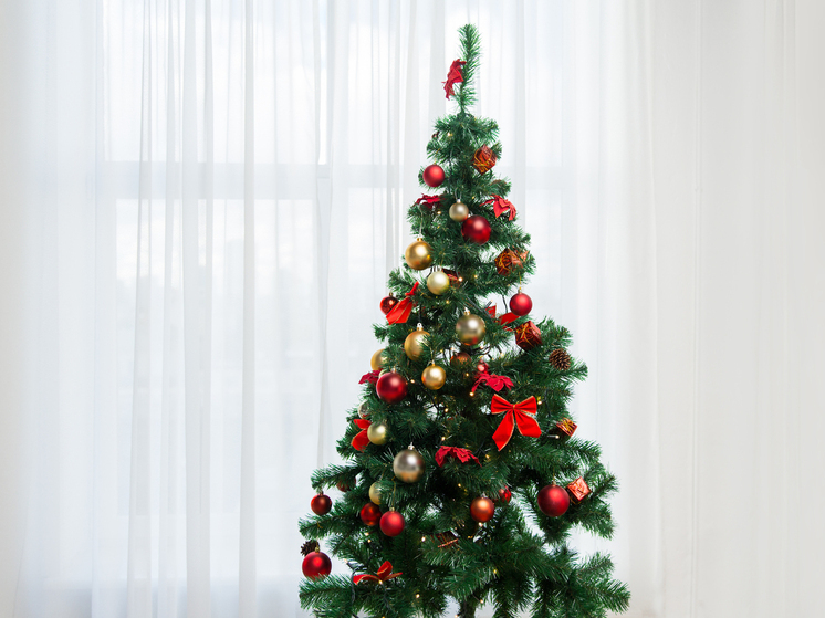 Архангелогородка попала на мошенников при покупке елки в соцсети