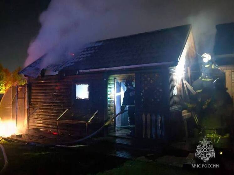 Пожарные спасли два жилых дома в Новгородском районе