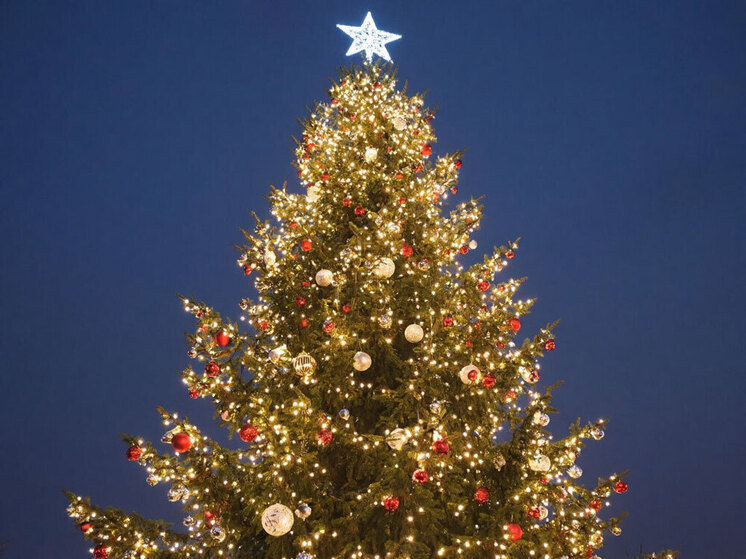 Новую ель установят на площади Труда в Чите к Новому году