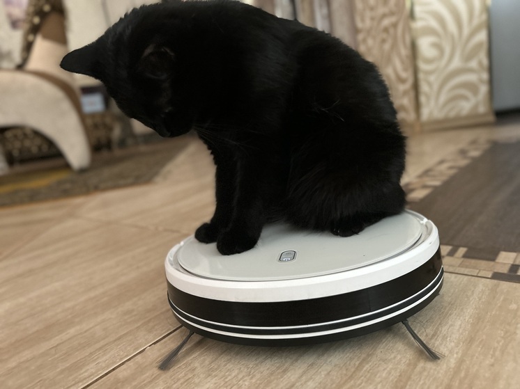 Робот-пылесос по скидке обманул калининградку на 23 тысячи рублей