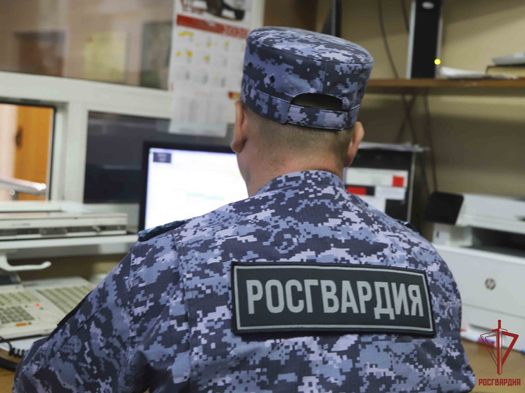 Росгвардейцы Тульской области пресекли более 30 нарушений за неделю