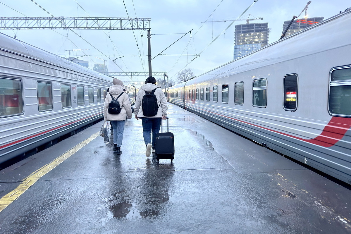 Кот Федос проехал полстраны и вернулся домой благодаря неравнодушным людям