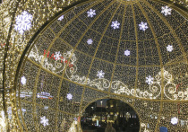 Встреча Нового 2026 года — это не просто ужин, а ритуал задавания энергии на грядущий цикл. Чтобы угодить могущественному символу года — Красной Огненной Лошади — и привлечь её благословение, ваш стол должен стать отражением её сути: силы, страсти, щедрости и жизненной энергии. Забудьте о пресной и легкой пище. В этом году нужны яркие вкусы, теплые ароматы и блюда, которые дают мощный заряд.