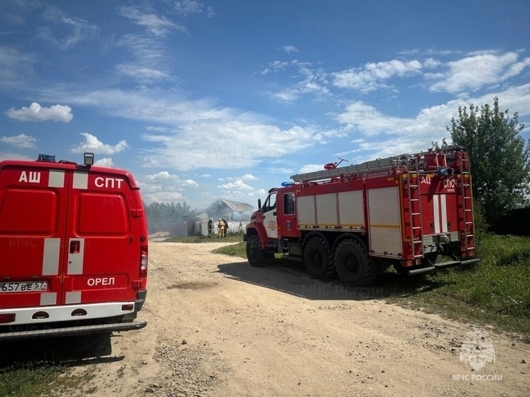 В Орле случился пожар в гараже