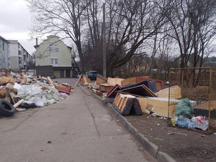 Калининградская компания снова забыла убрать мусор с Невского и получила штраф
