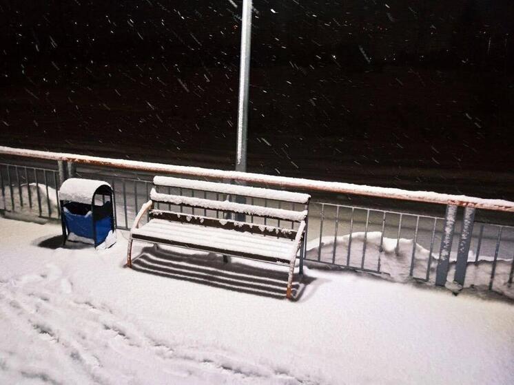 В Омск идёт сибирская зима: метель, снег и сильный ветер