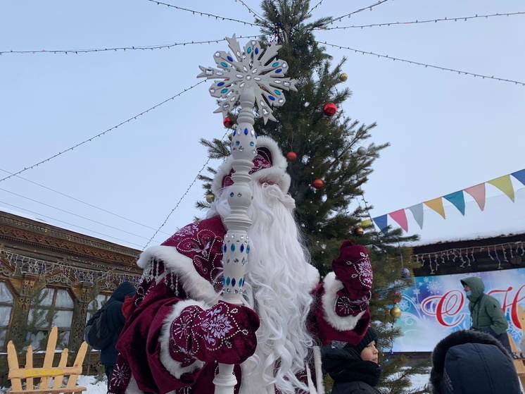 В Сибирских владениях Деда Мороза снизили цены на билеты на 50 %