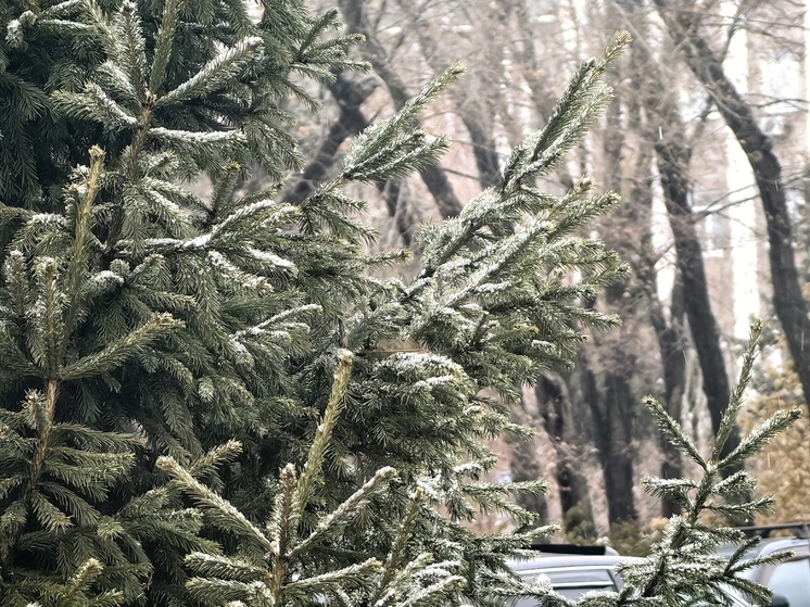 В Хакасию вместе с ветром придет небольшое потепление