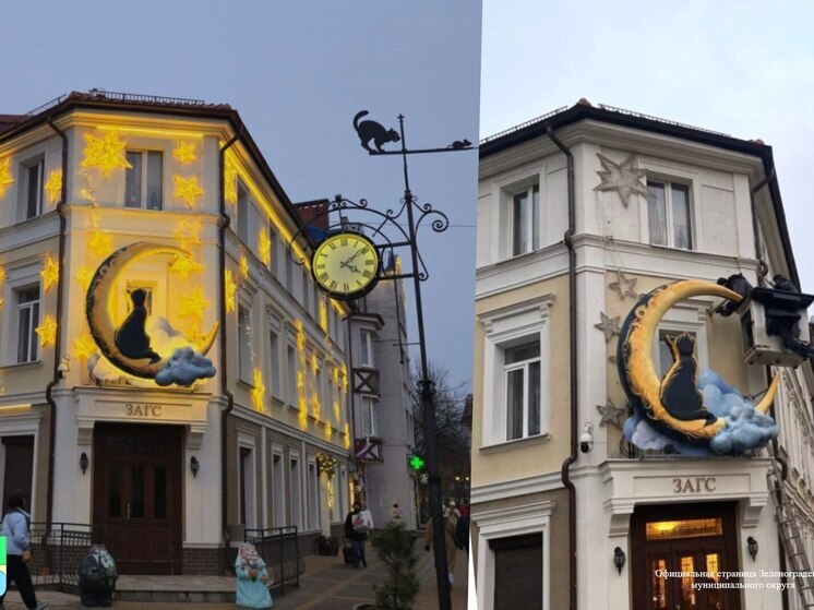 Барельеф с котиком «забрался» на ЗАГС Зеленоградска