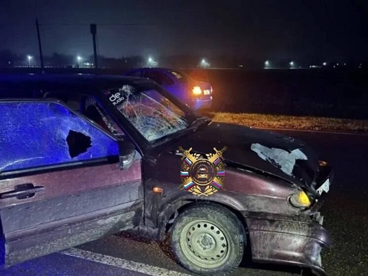 В Новопокровском районе отечественная легковушка сбила пешехода в темное время суток