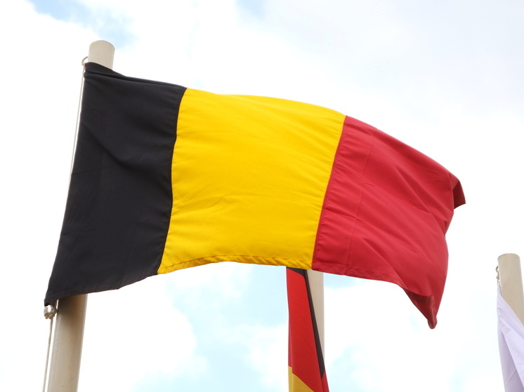 Глава МИД Бельгии назвал кредит Киеву за счет российских активов худшим вариантом