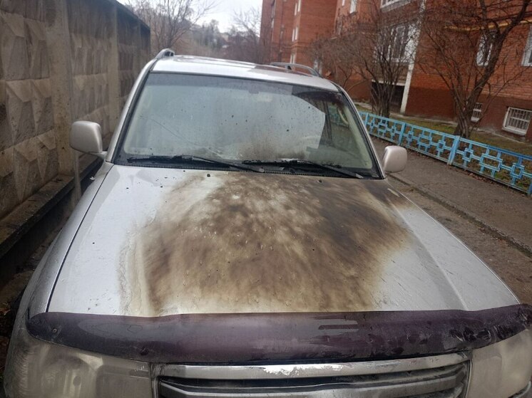 Южноуралец поджог автомобиль и сбежал в Поволжье