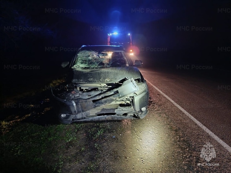 В Геническом округе разбился автомобиль - пострадали два человека