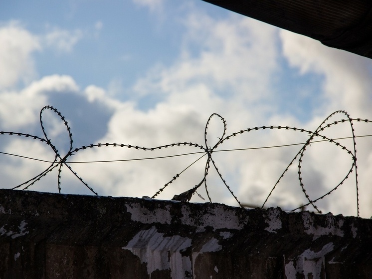 В Тульской области серийному педофилу из Белева увеличили срок до 22 лет