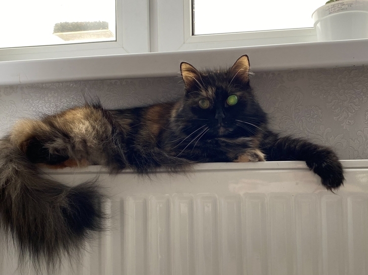 Калужанам рассказали, когда можно требовать перерасчёт за отопление