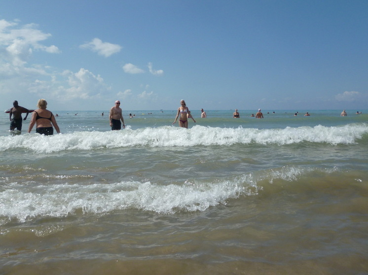 Туристам в Египте назвали цвет купальников, который защищает от акул