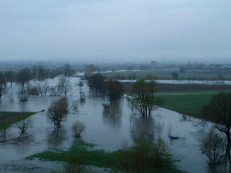Экологи выявили потенциально опасные территории Липецкой области