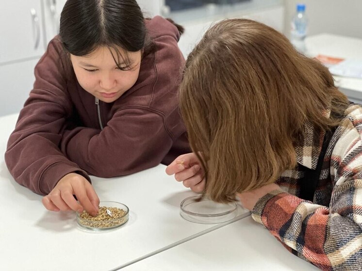 В сельских школах Иркутской области откроют новые агротехнологические классы