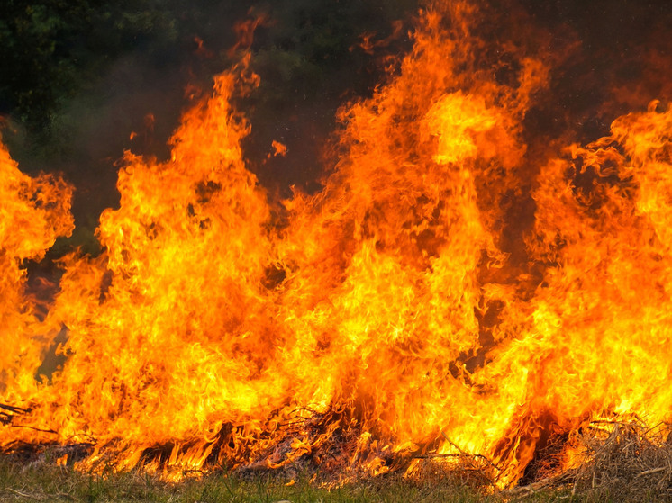 Двое мужчин погибли в горящем доме под Воронежем