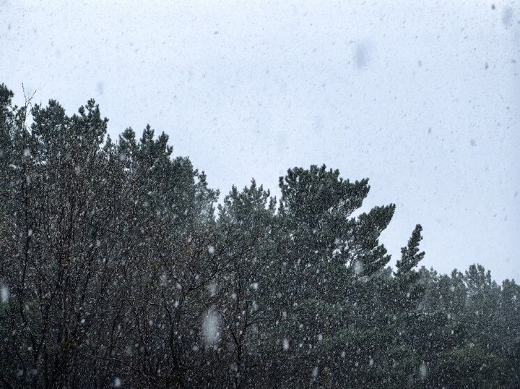 Синоптики пообещали ветреную и снежную погоду в Хакасии