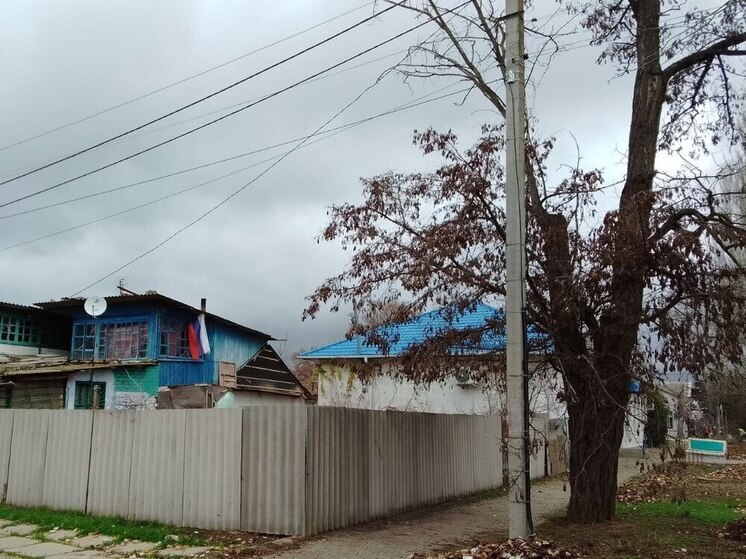 В Скадовске спилили дерево, которое нависало над линиями электропередачи