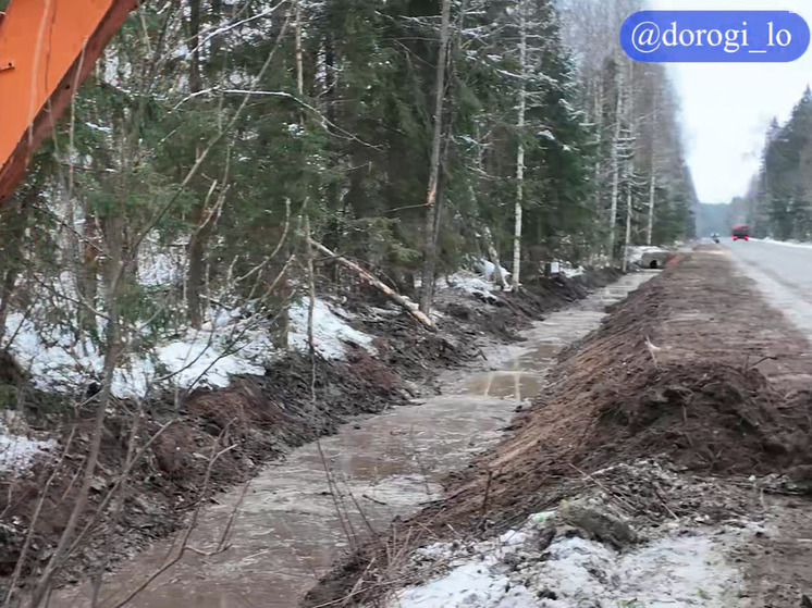 Дорожники обезопасят участок трассы «Мины — Новинка» от ДТП с дикими животными