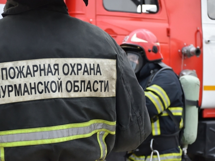 На трассе Р-21 «Кола» в результате съезда в кювет пострадал человек