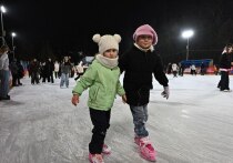 Первый день календарной зимы серпуховичи встретили на свежем воздухе